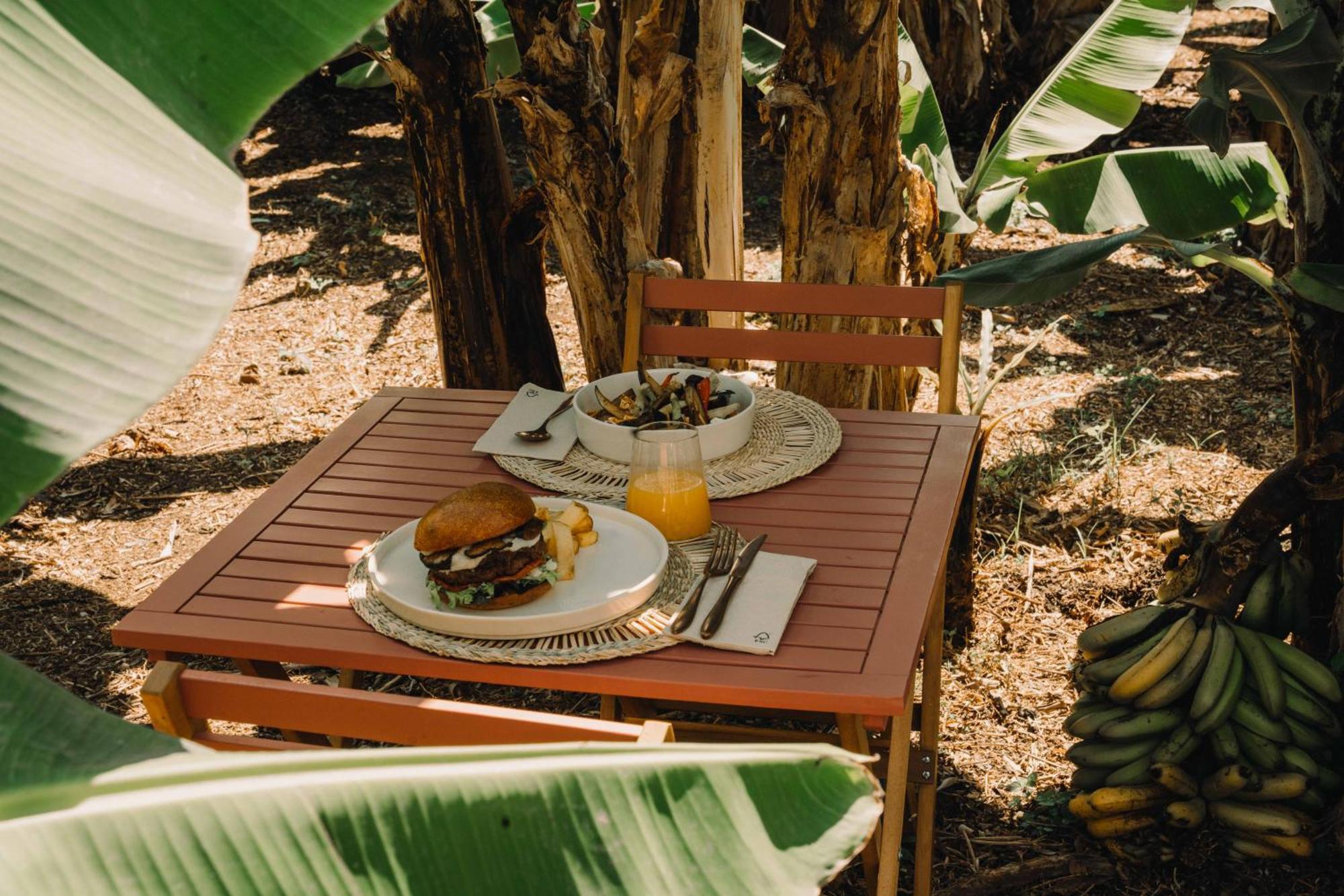 The Farm - Azores Boutique House ポンタ・デルガダ エクステリア 写真